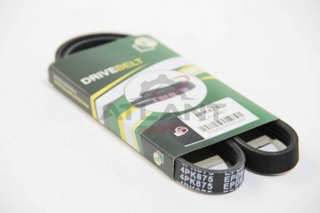 MULTI V-BELT BGA 4PK875