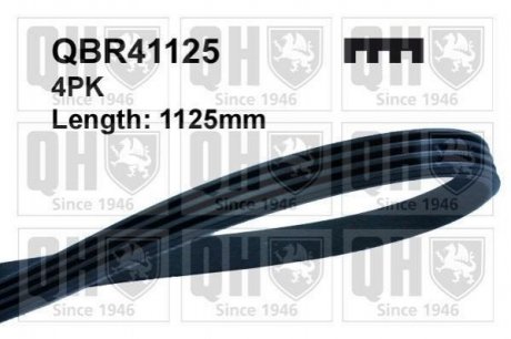 Поликлиновой ремень JP GROUP QBR41125
