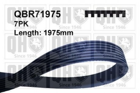 Поліклиновий ремінь (QUINTON HAZELL) JP GROUP QBR71975